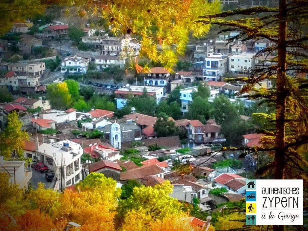 Ferienwohnung Isminis Petroktisto  Palechori Exterior foto
